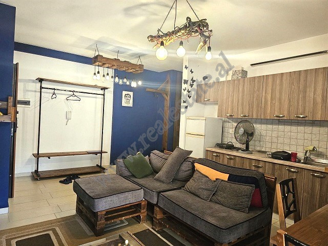 One bedroom apartment for rent in Eduart Mano Street, near the Zoo area, in Tirana, Albania.&nbsp;
